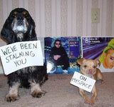 "I've Been Stalking You on Myspace" Classic Sublimation Adult T-Shirt