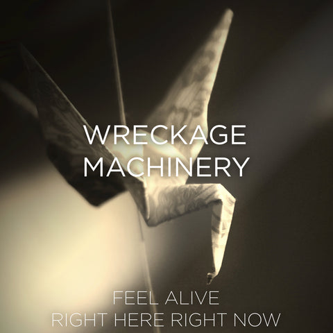 Wreckage Machinery - Feel Alive / Right Here Right Now