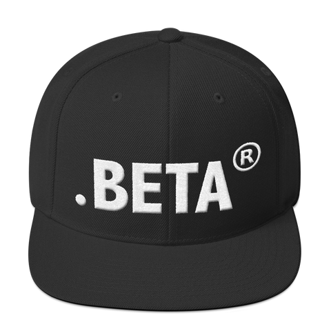 BETA Snapback Hat