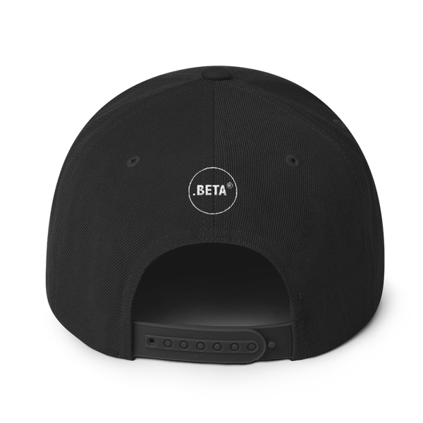 BETA Snapback Hat